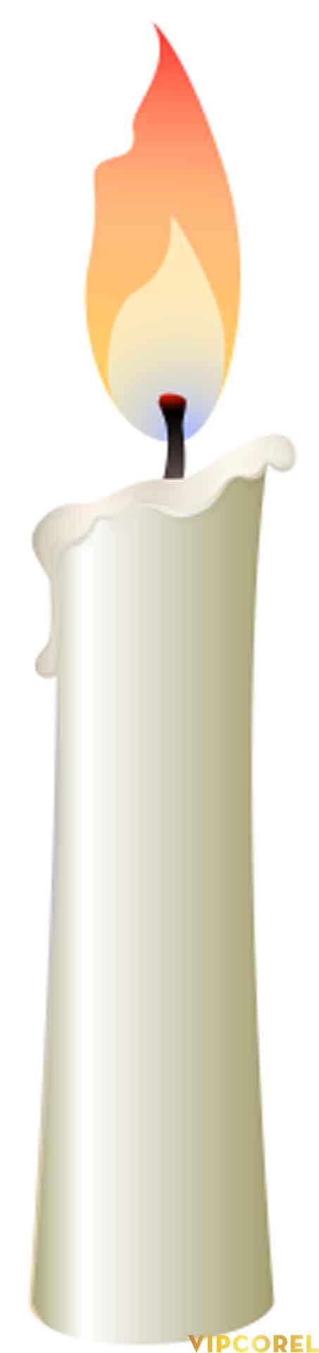 VIPcorel.com_ngon nen anh tach nen PNG (25).jpg