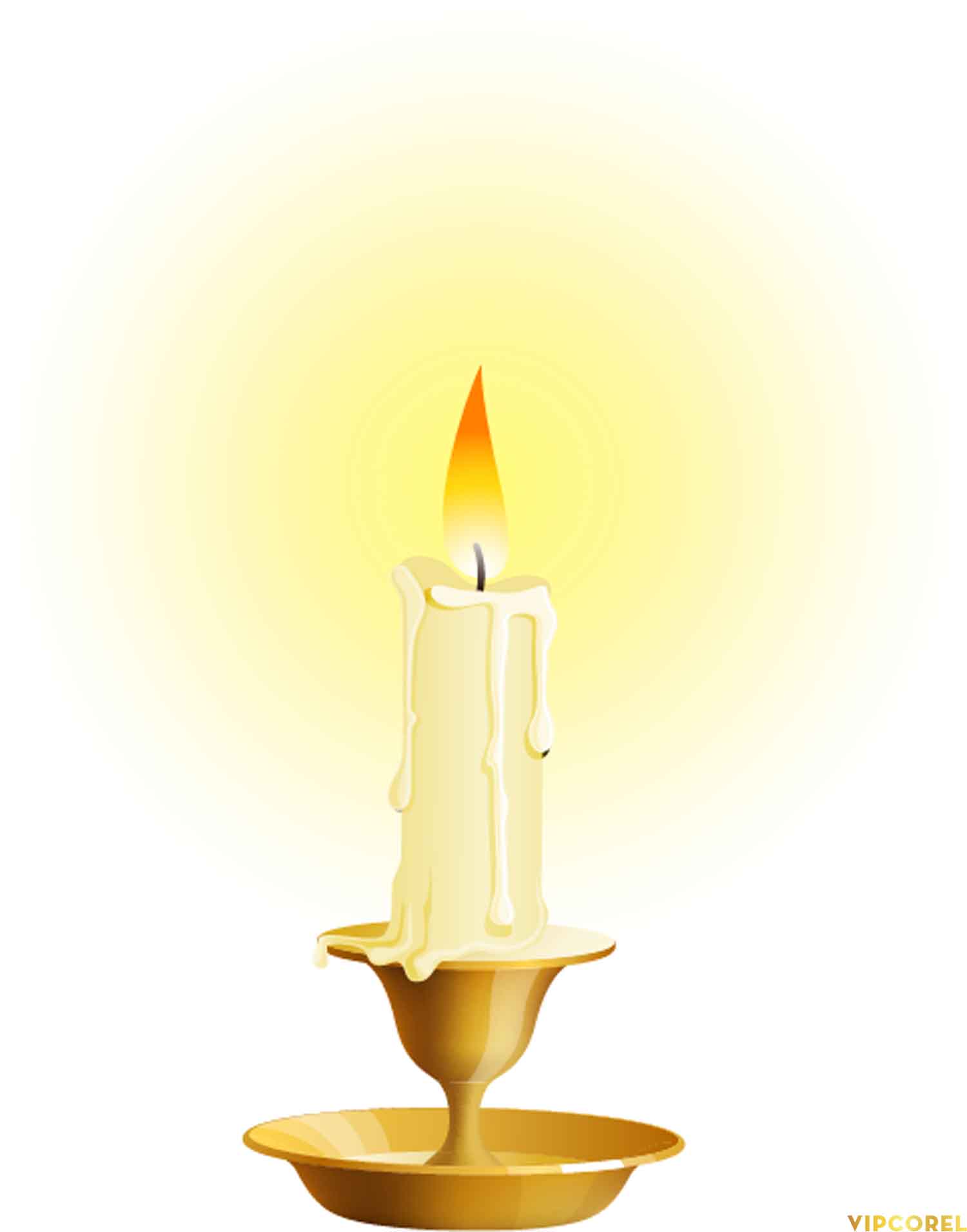 VIPcorel.com_ngon nen anh tach nen PNG (30).jpg