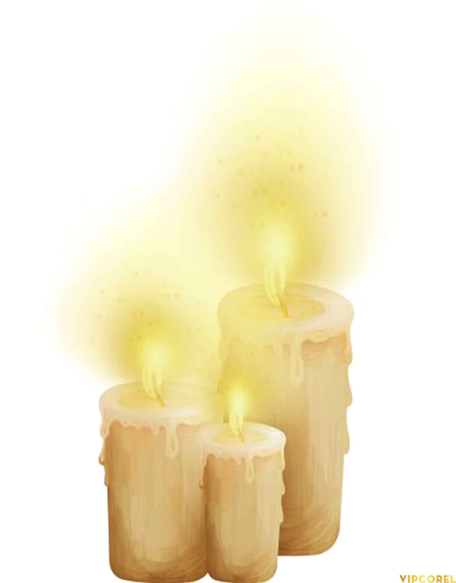 VIPcorel.com_ngon nen anh tach nen PNG (33).jpg
