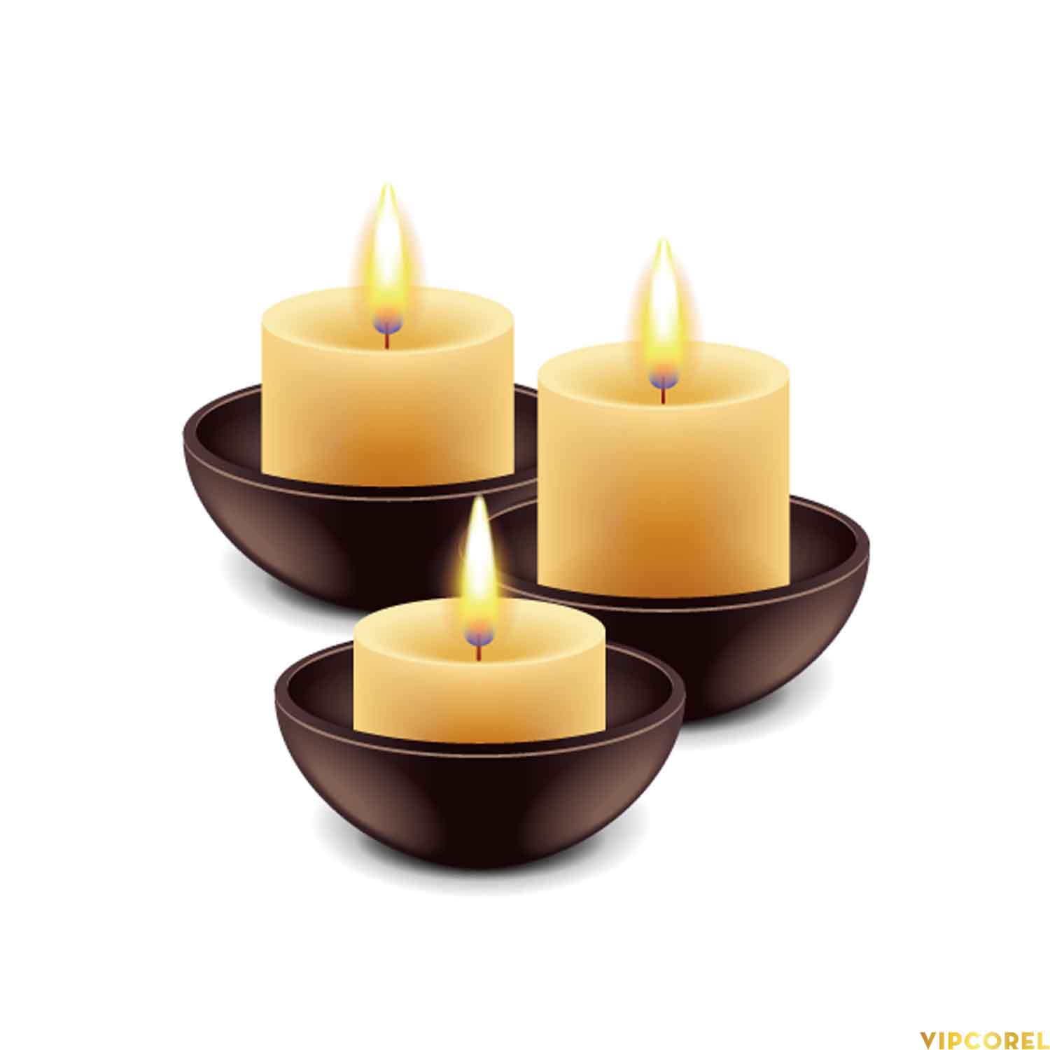 VIPcorel.com_ngon nen anh tach nen PNG (42).jpg