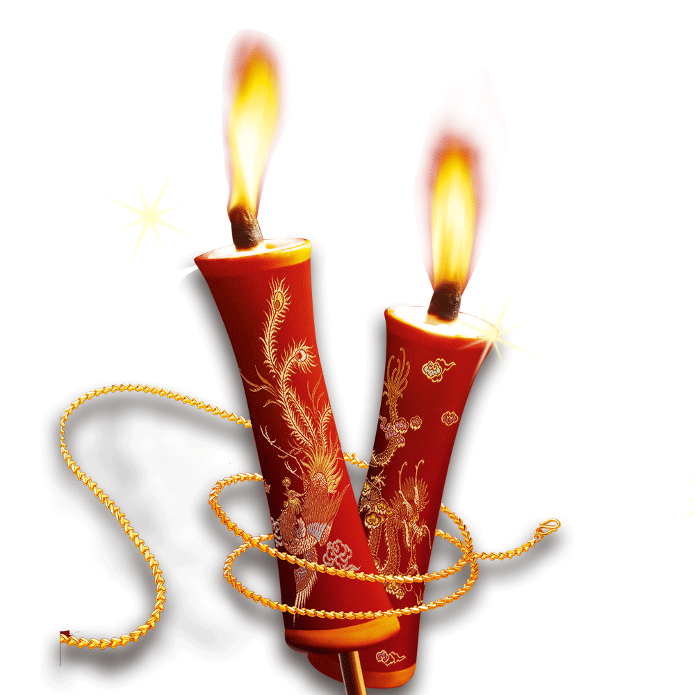 VIPcorel.com_ngon nen anh tach nen PNG (57).png