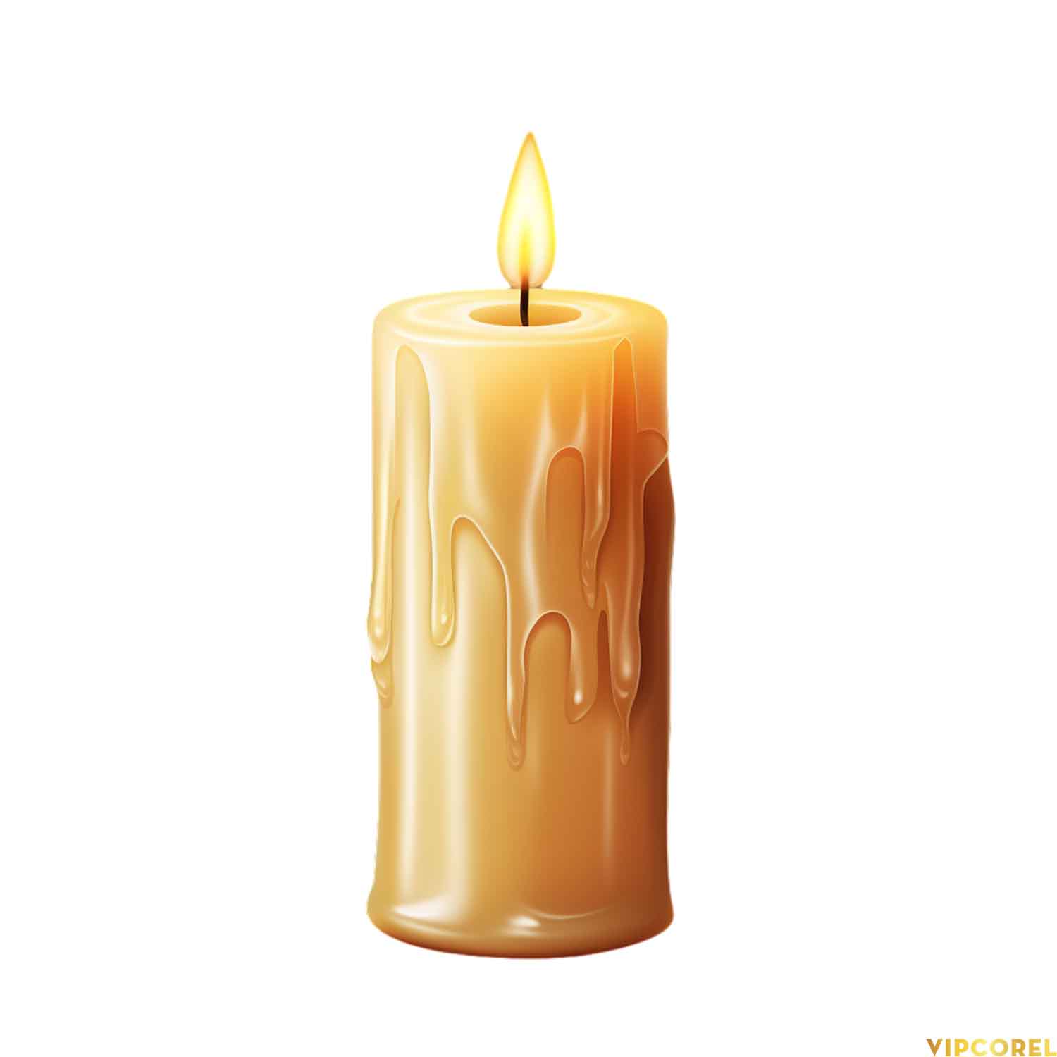 VIPcorel.com_ngon nen anh tach nen PNG (71).jpg