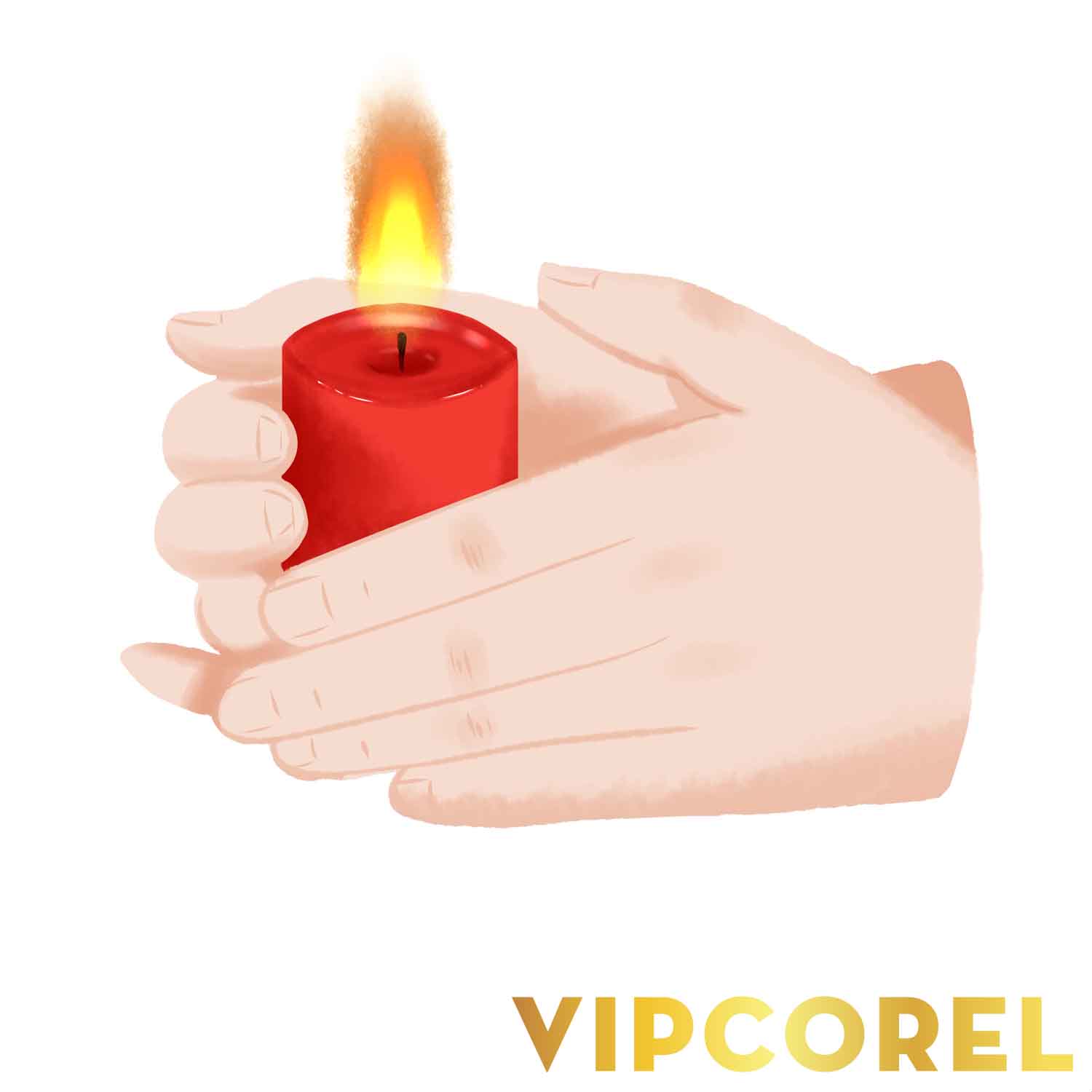 VIPcorel.com_ngon nen anh tach nen PNG (74).jpg