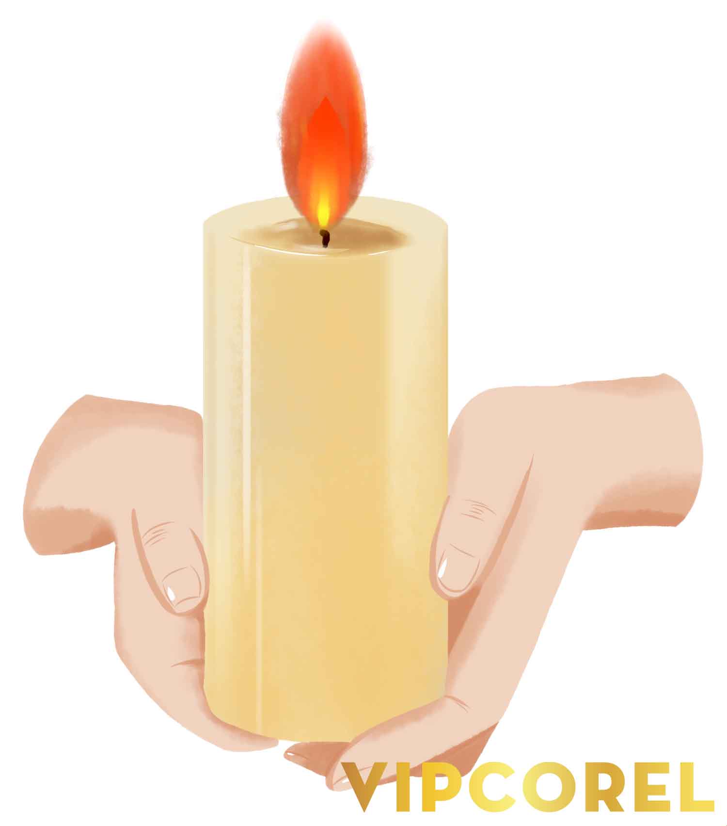 VIPcorel.com_ngon nen anh tach nen PNG (75).jpg