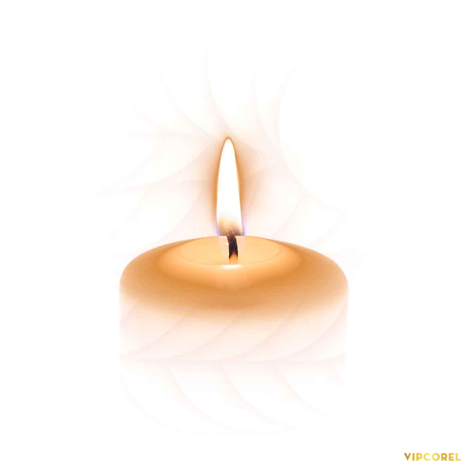 VIPcorel.com_ngon nen anh tach nen PNG (78).jpg