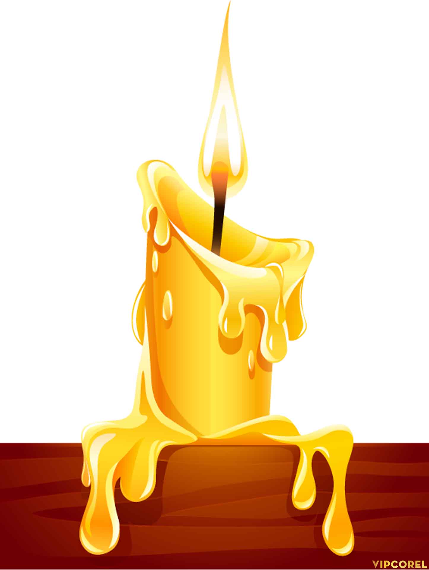 VIPcorel.com_ngon nen anh tach nen PNG (81).jpg