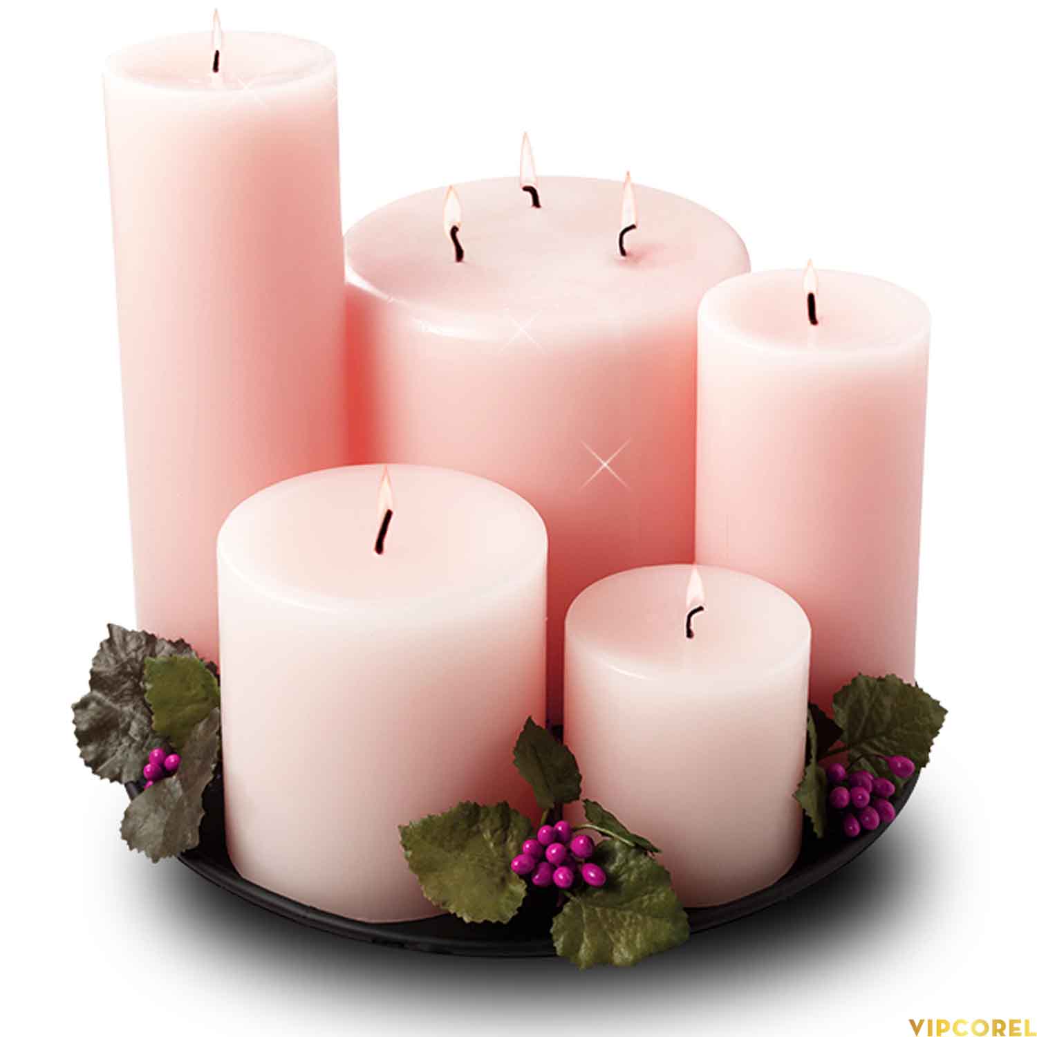 VIPcorel.com_ngon nen anh tach nen PNG (83).jpg