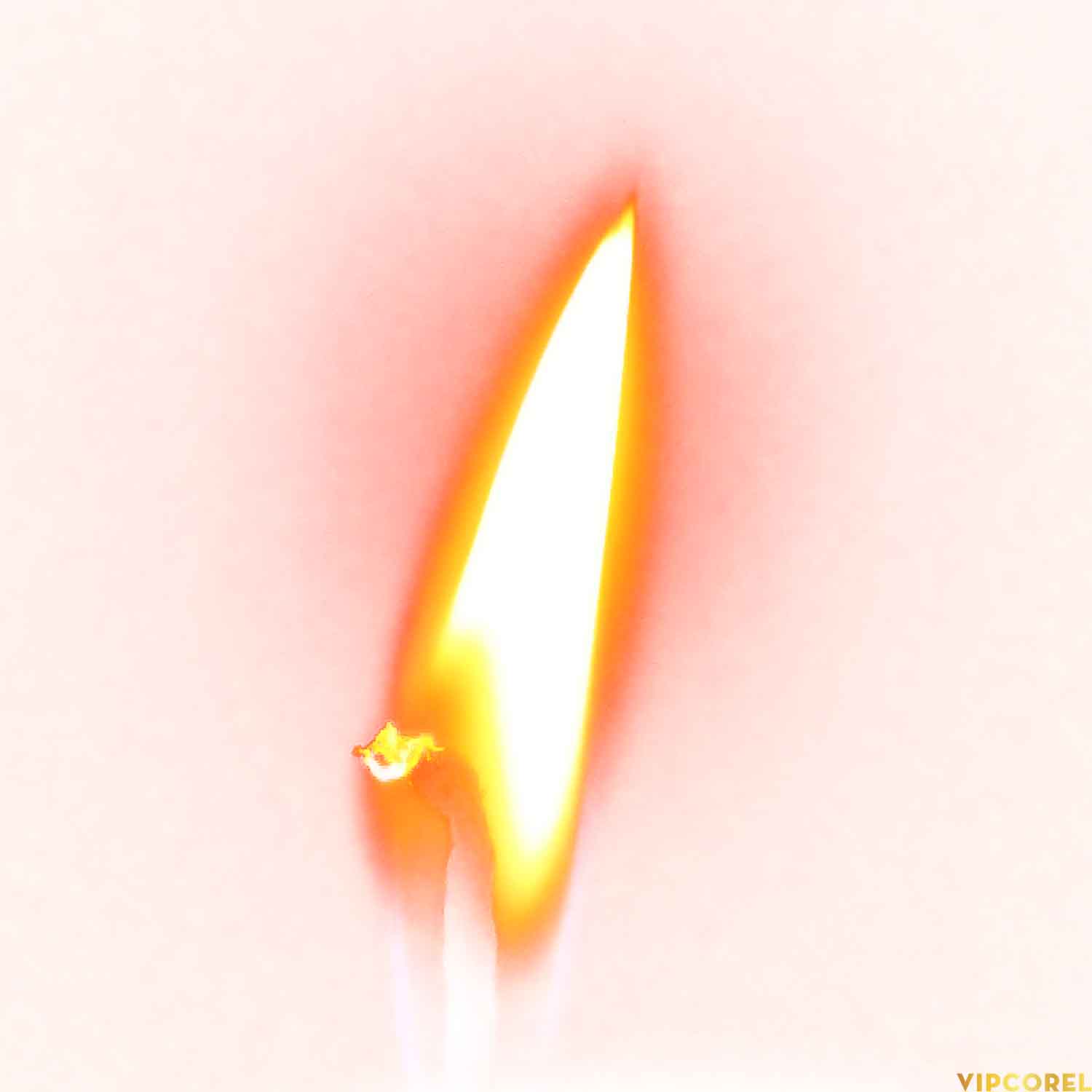 VIPcorel.com_ngon nen anh tach nen PNG (86).jpg
