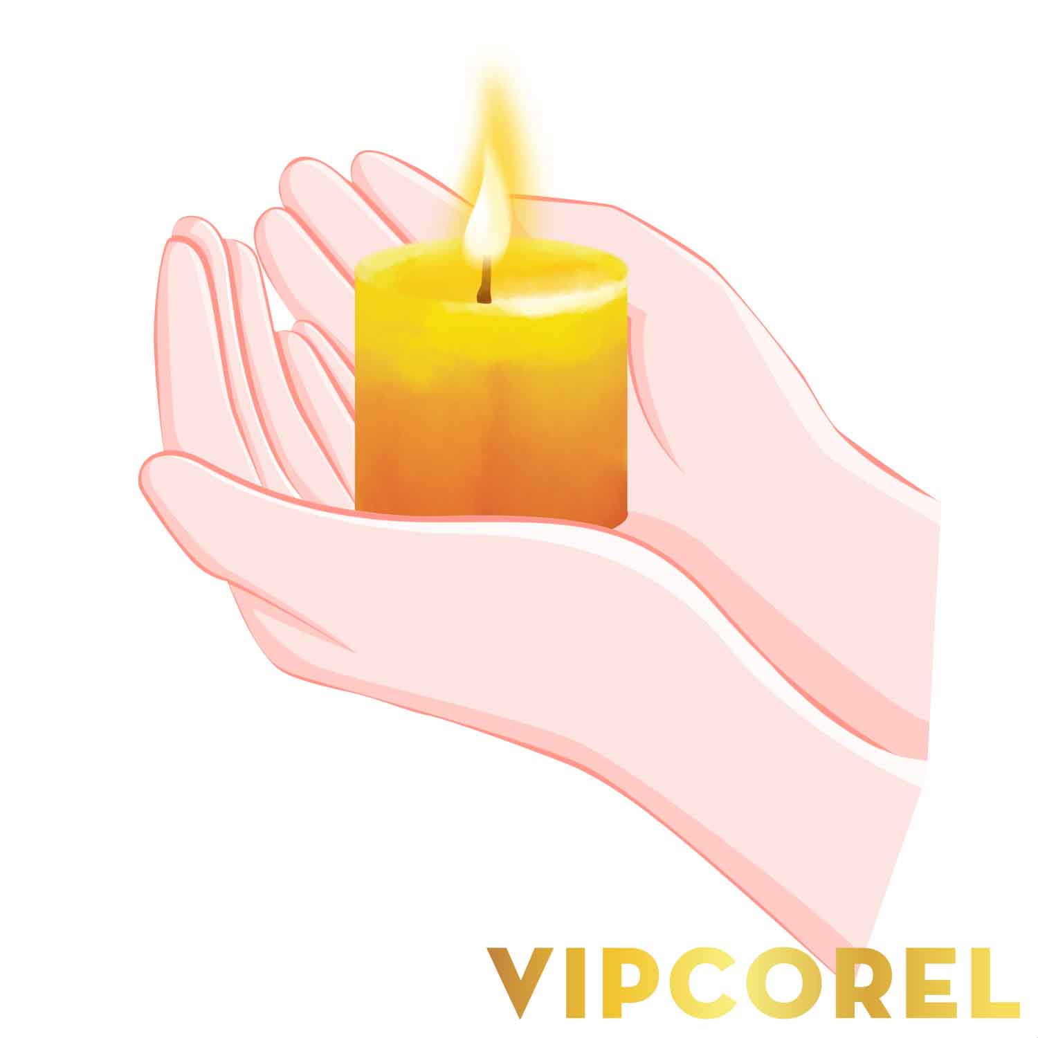 VIPcorel.com_ngon nen anh tach nen PNG (91).jpg