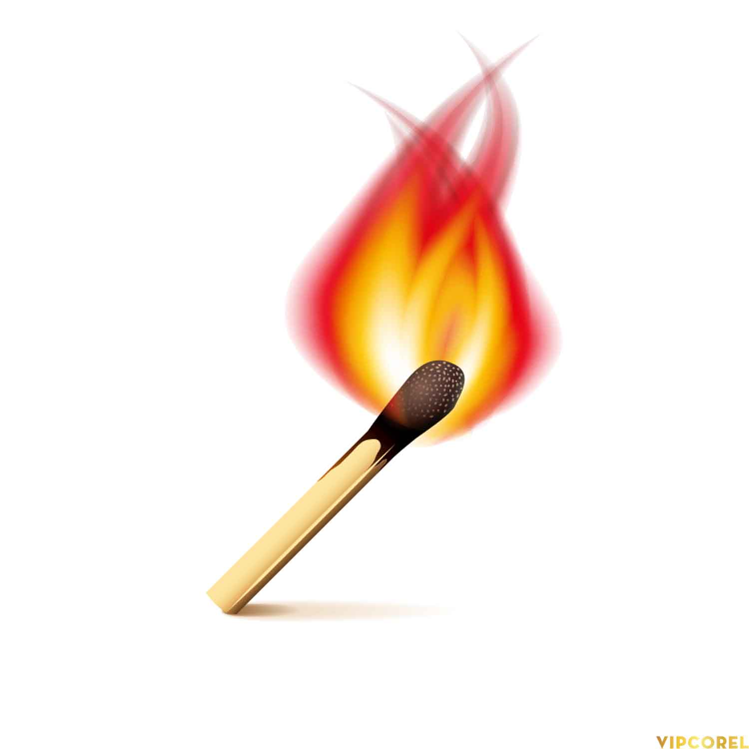 VIPcorel.com_ngon nen anh tach nen PNG (95).jpg