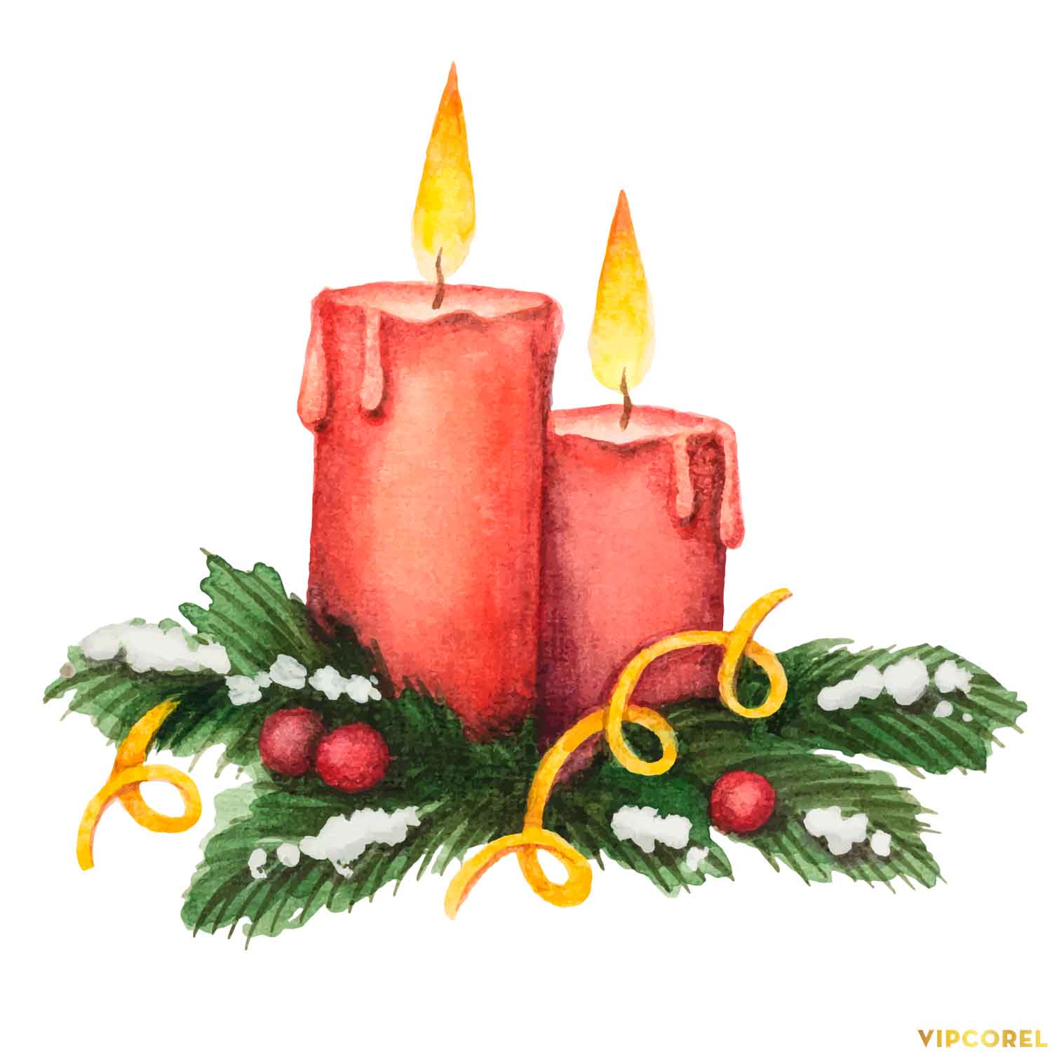 VIPcorel.com_ngon nen anh tach nen PNG (98).jpg