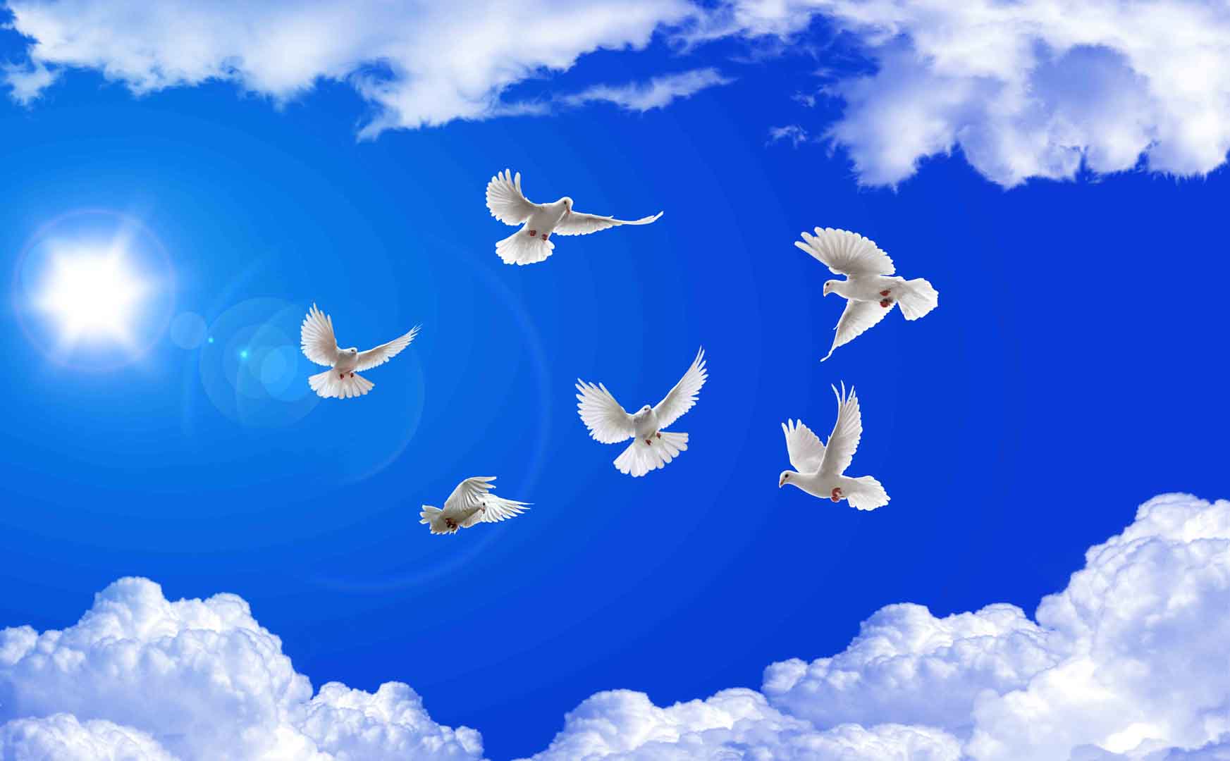 VIPcorel.com_tran nha bau troi xanh.jpg