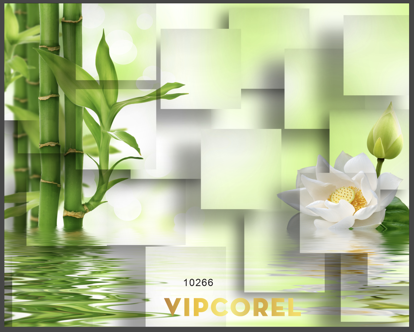 VIPcorel.com_tranh dan tuong spa tre va hoa sen tren mat nuoc.png