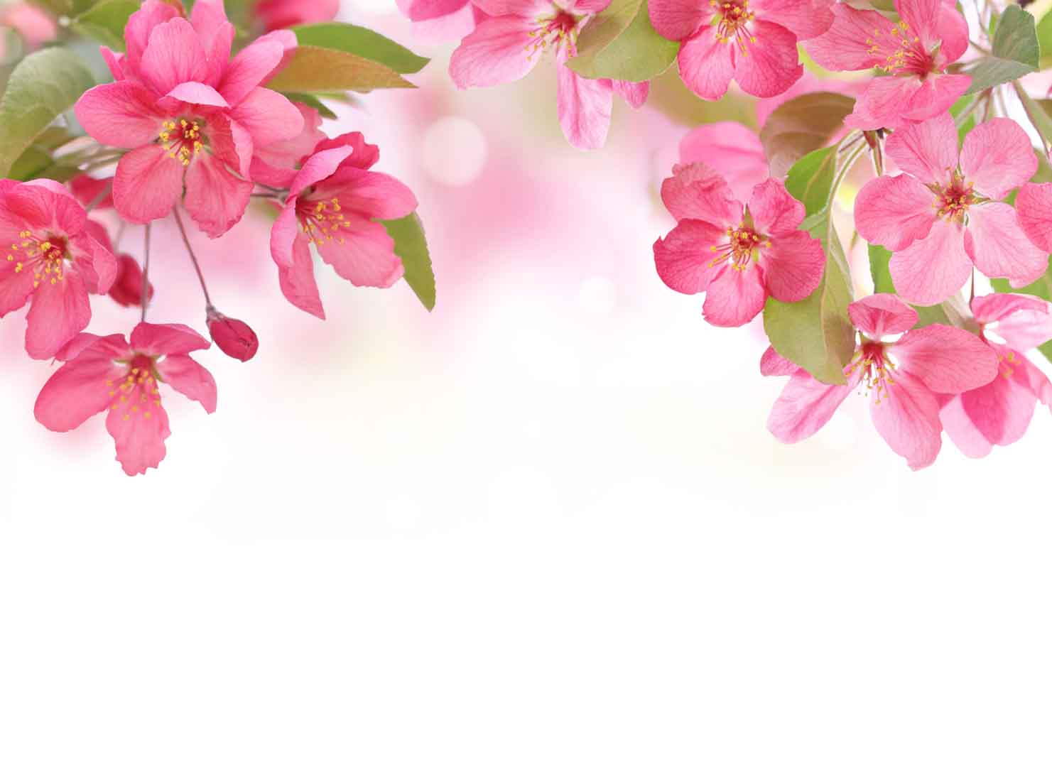 VIPcorel.com_WM-016 (300x220).jpg