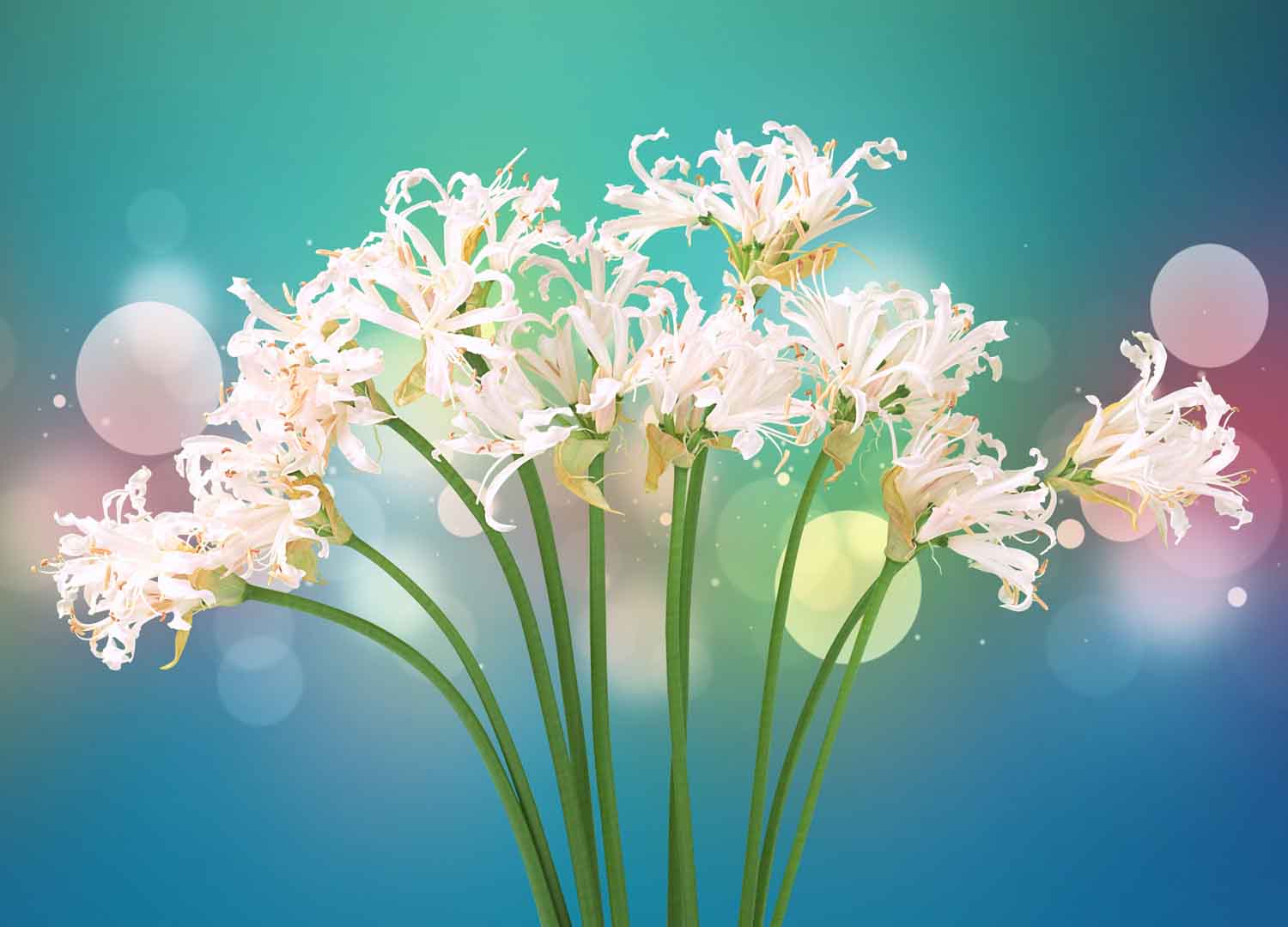 VIPcorel.com_WM-017 (250x180).jpg