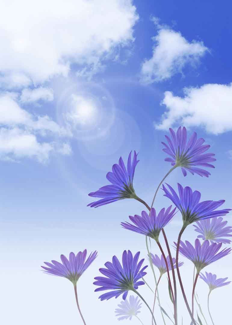 VIPcorel.com_WM-026 (200x280).jpg