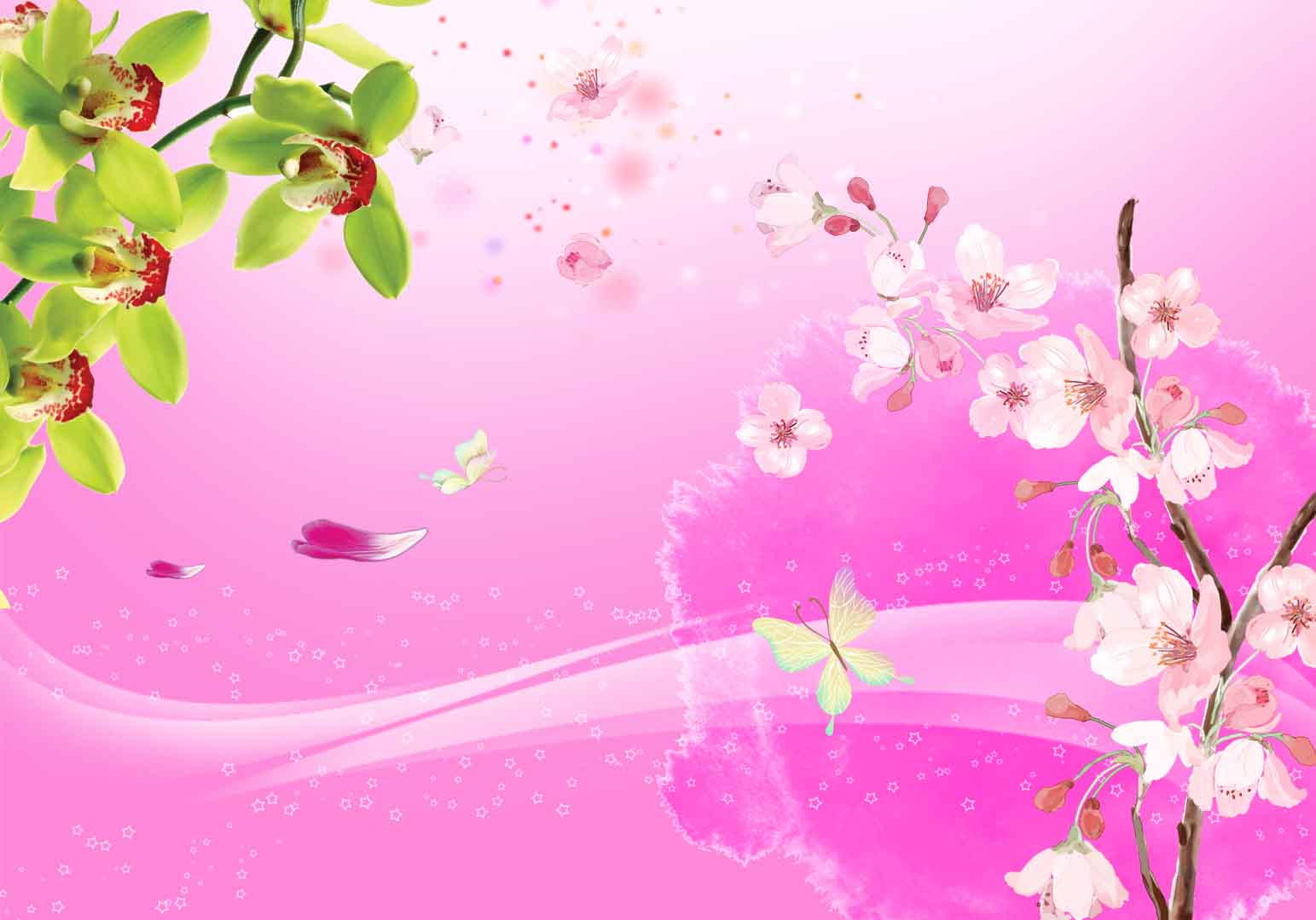 VIPcorel.com_WM-032 (250x175).jpg
