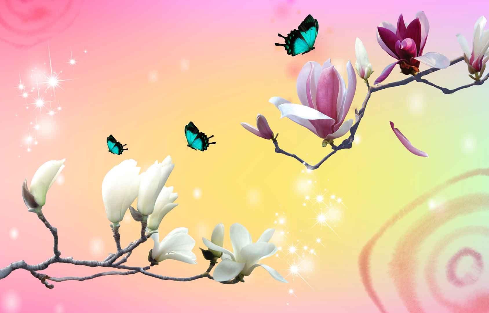 VIPcorel.com_WM-033 (250x160).jpg