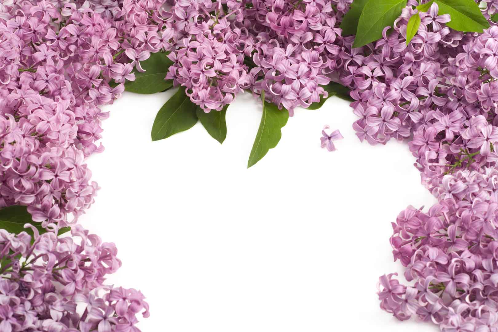 VIPcorel.com_WM-045 (300x200).jpg
