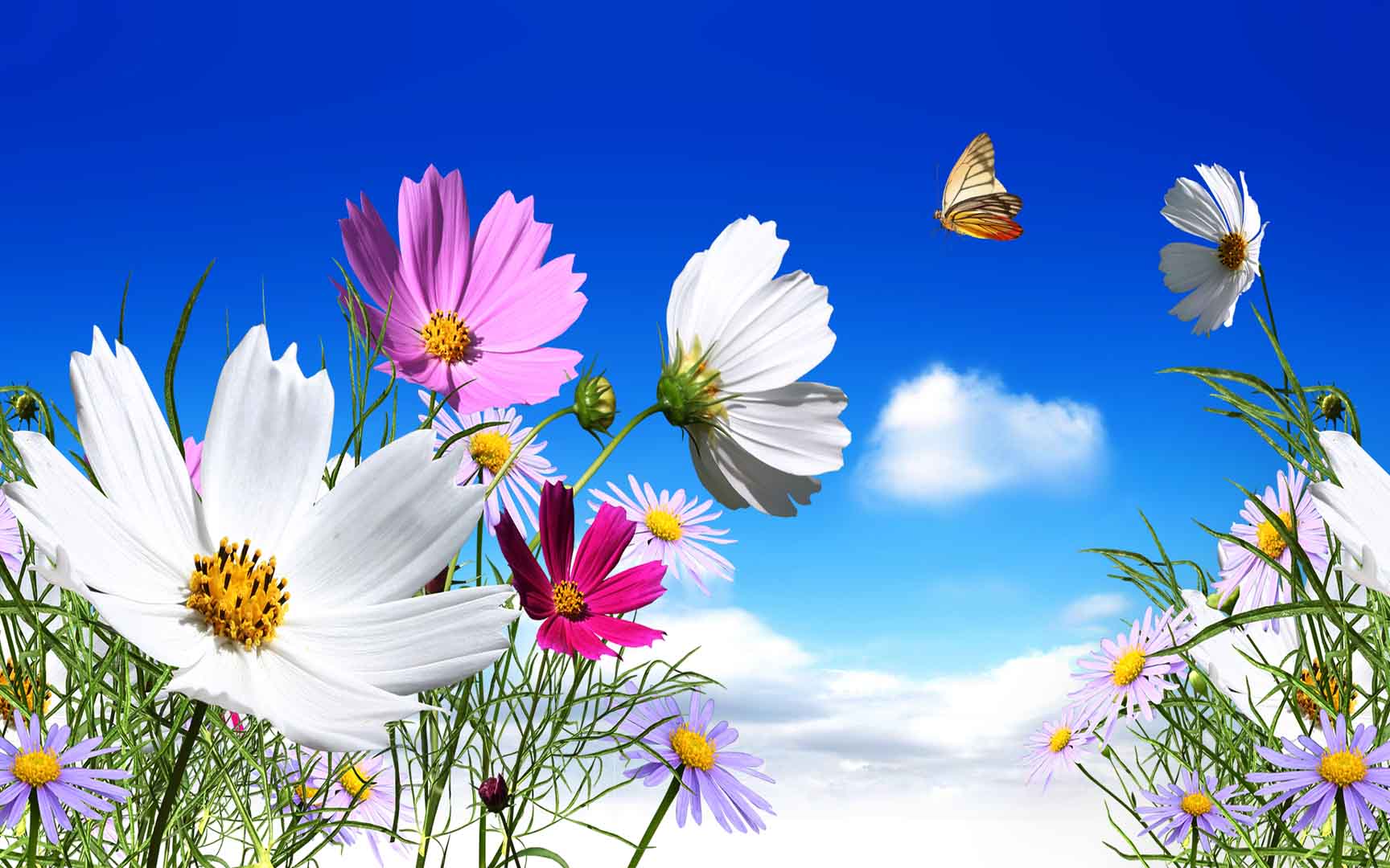 VIPcorel.com_WM-053 (320x200).jpg