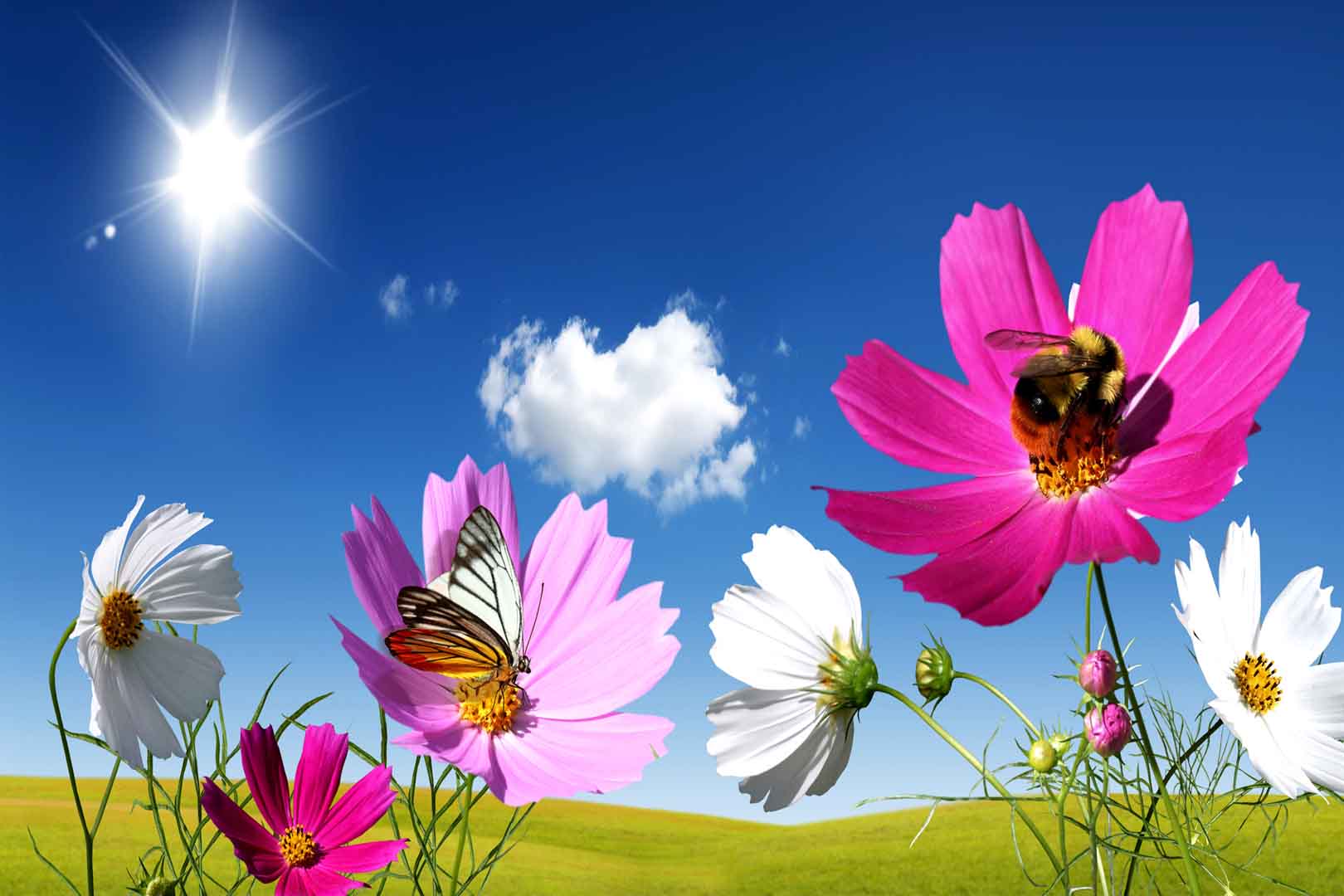 VIPcorel.com_WM-056 (300x200).jpg
