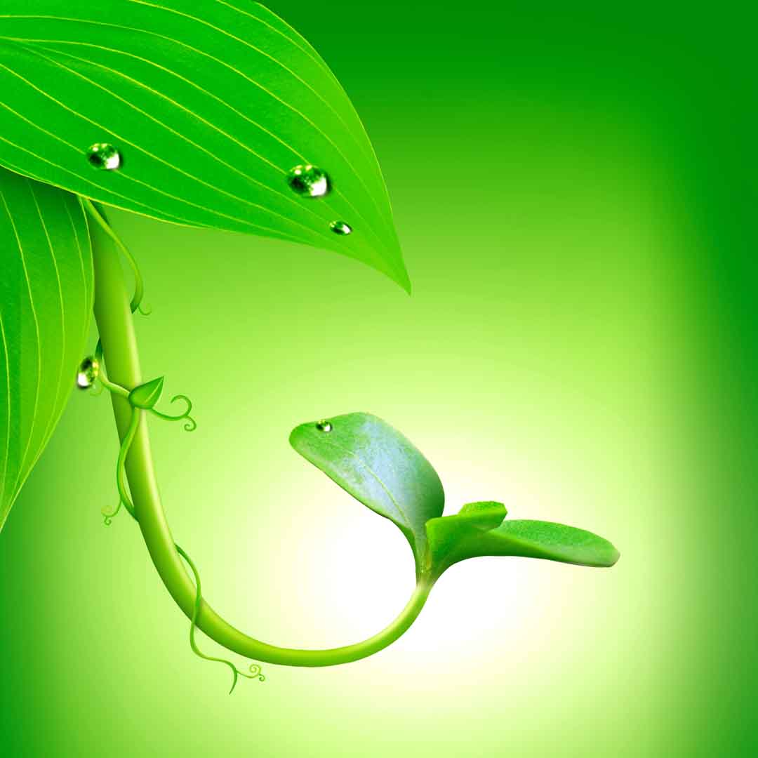 VIPcorel.com_WM-060 (180x180).jpg