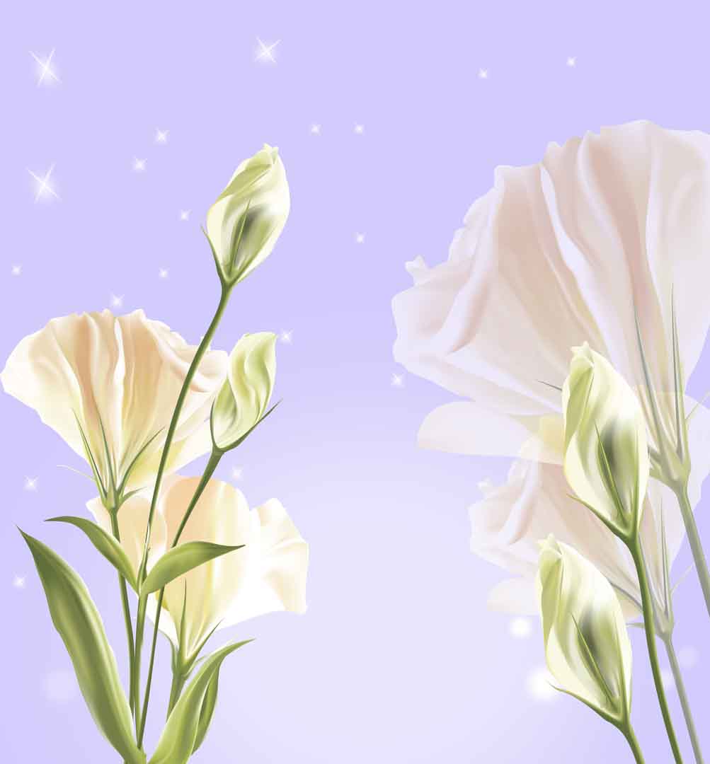 VIPcorel.com_WM-071 (260x280).jpg