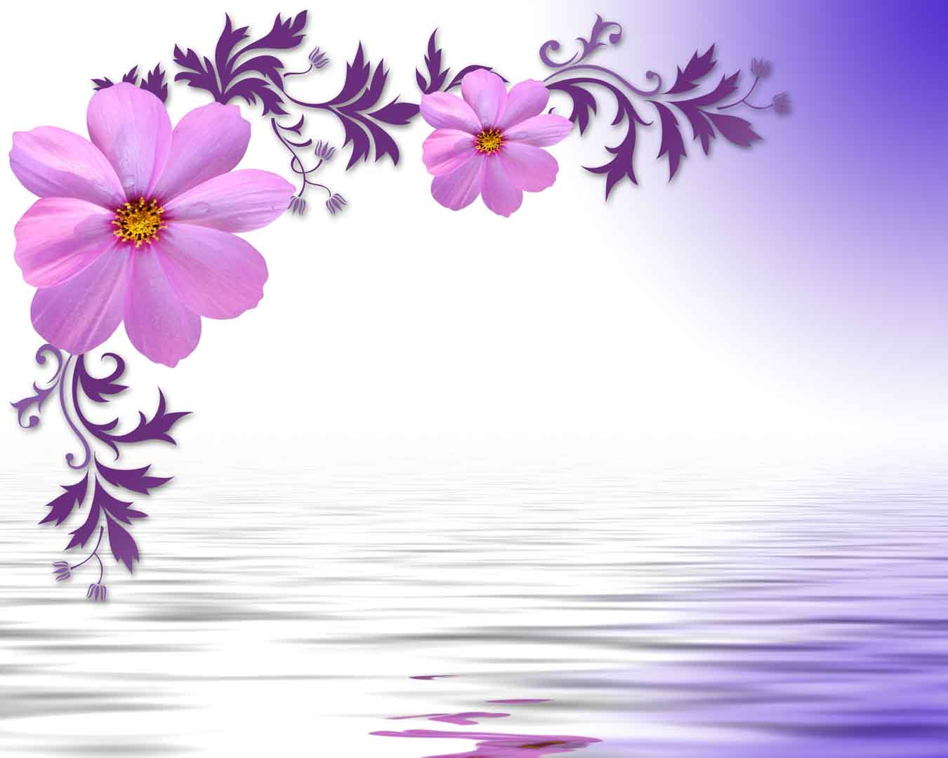 VIPcorel.com_WM-075 (300x240).jpg