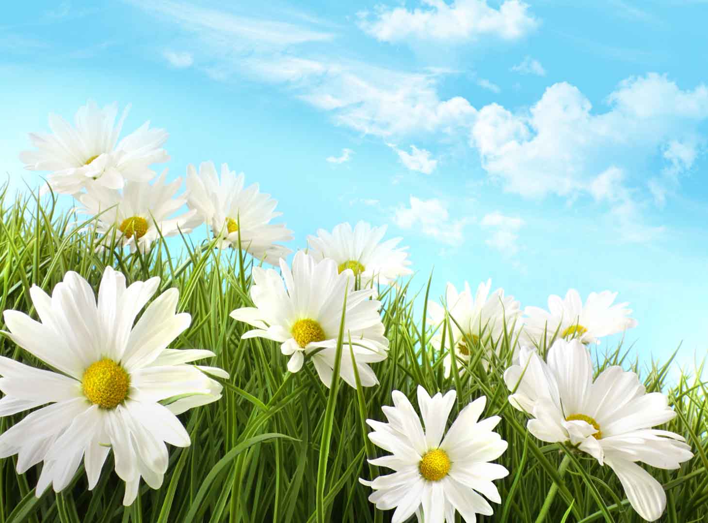 VIPcorel.com_WM-081 (250x185).jpg
