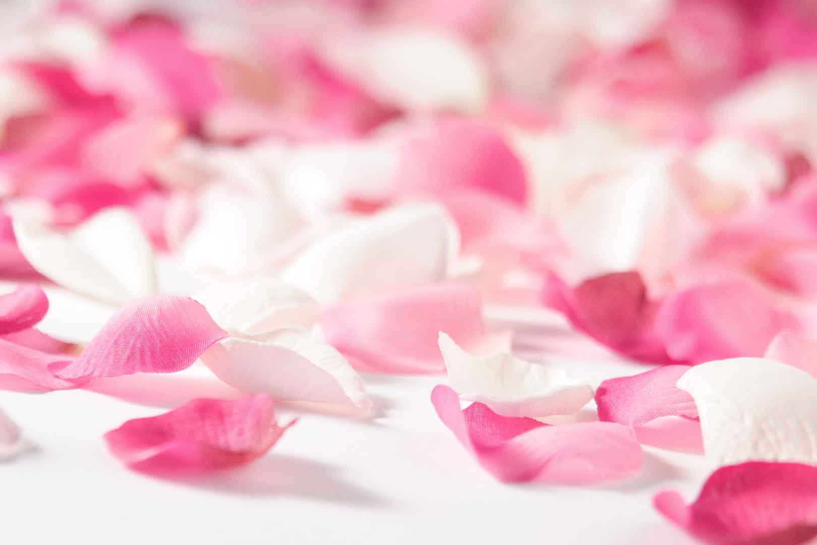 VIPcorel.com_WM-082 (300x200).jpg