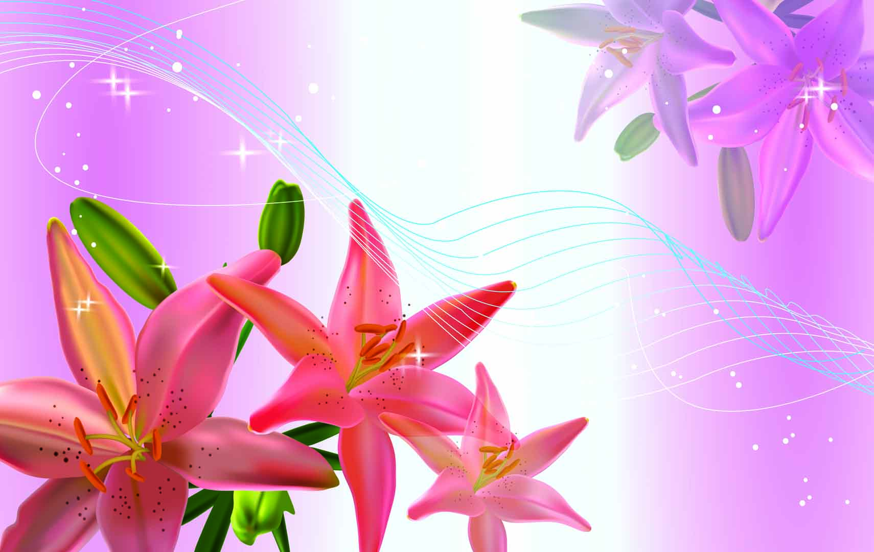 VIPcorel.com_WM-087 (380x240).jpg