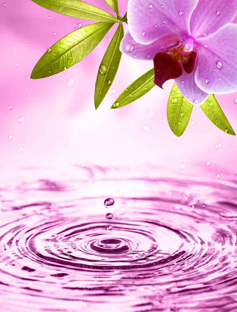 VIPcorel.com_WM-100 (190x250).jpg
