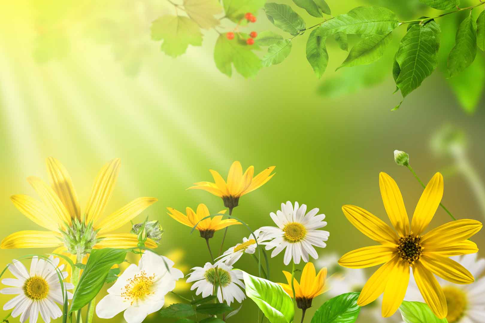 VIPcorel.com_WM-102 (300x200).jpg