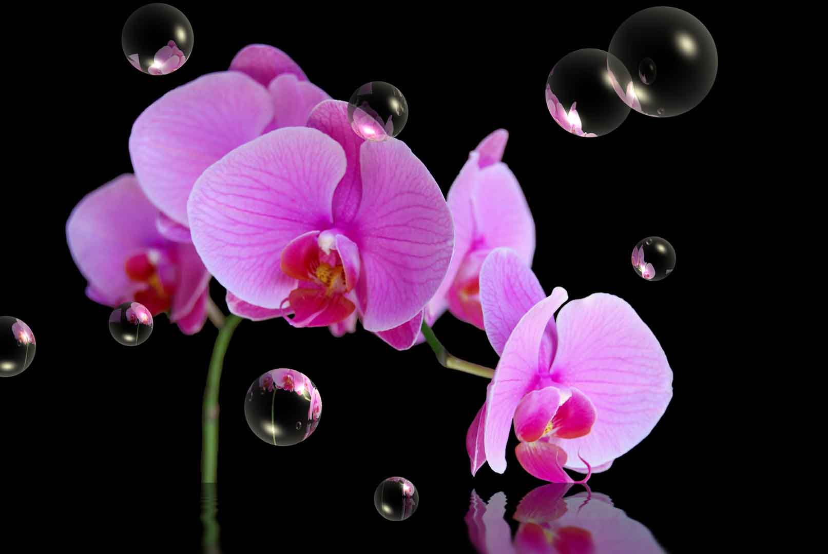 VIPcorel.com_WM-104 (300x200).jpg