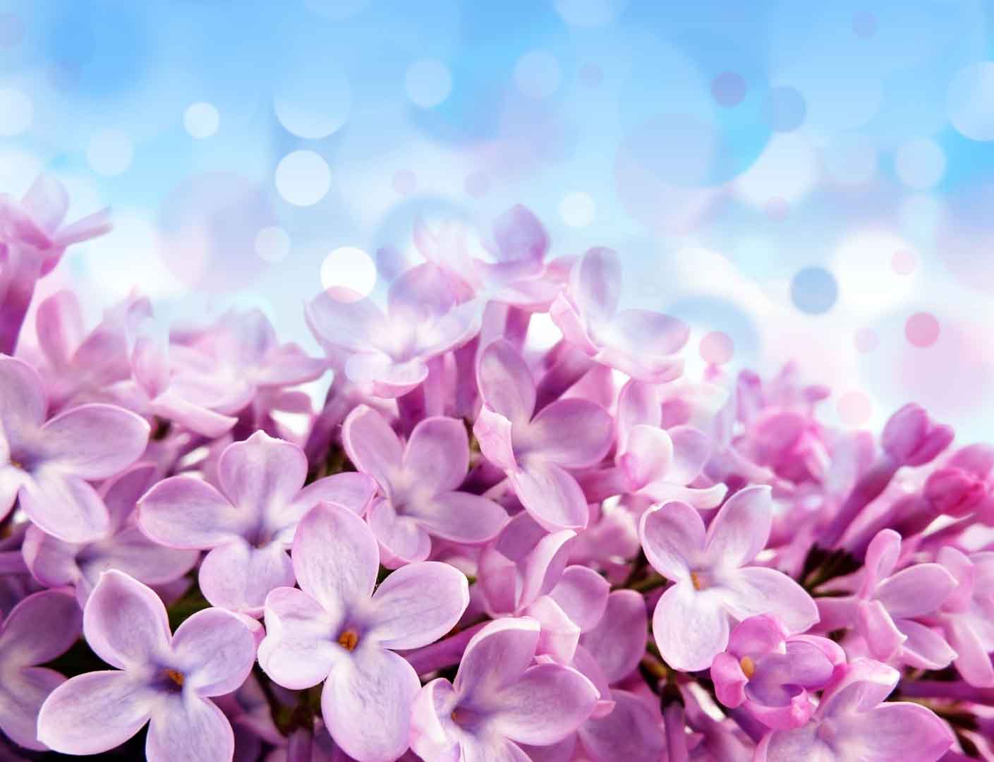 VIPcorel.com_WM-120 (300x230).jpg