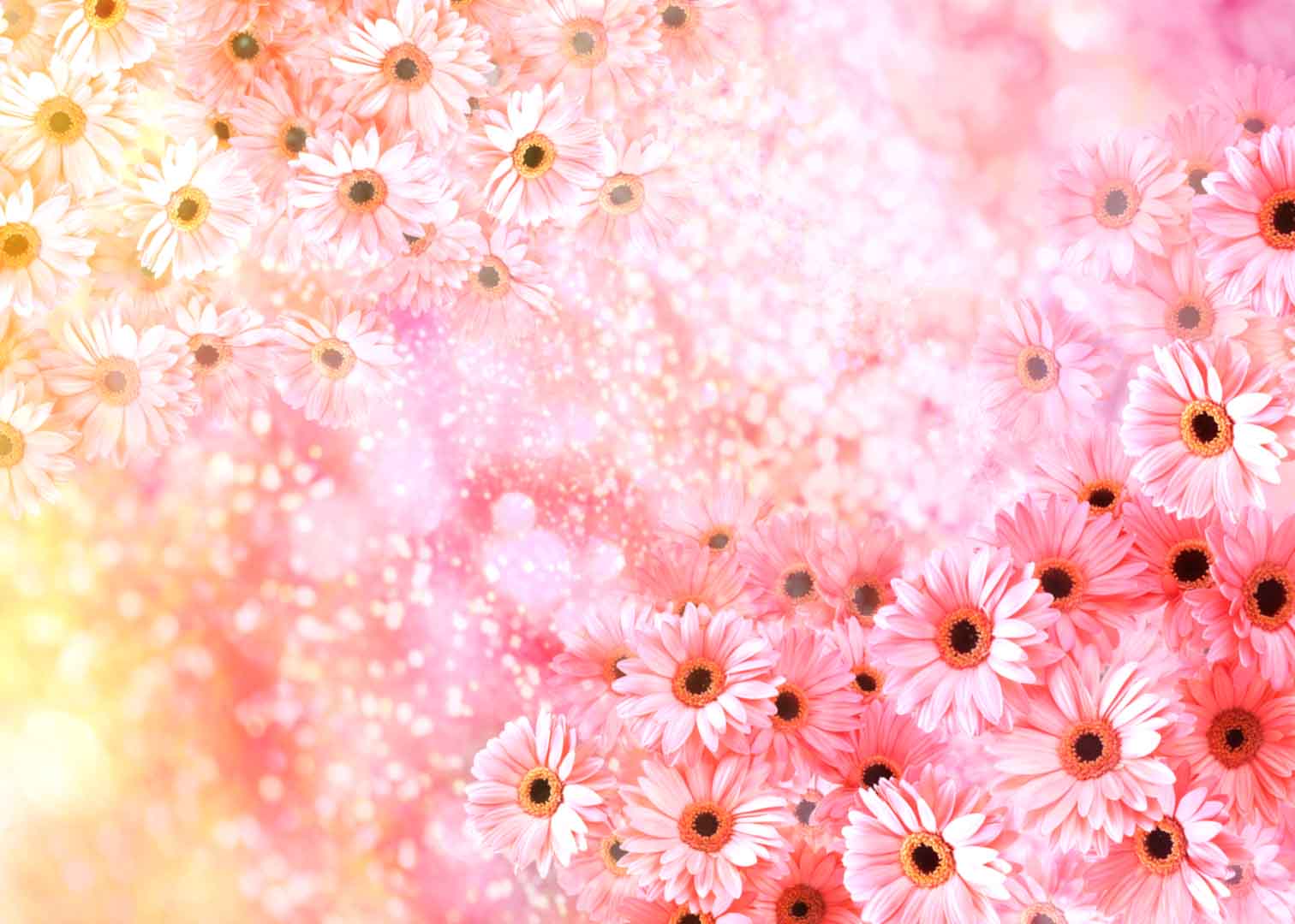 VIPcorel.com_WM-122 (280x200).jpg