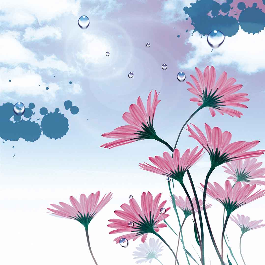 VIPcorel.com_WM-123 (200X200).jpg