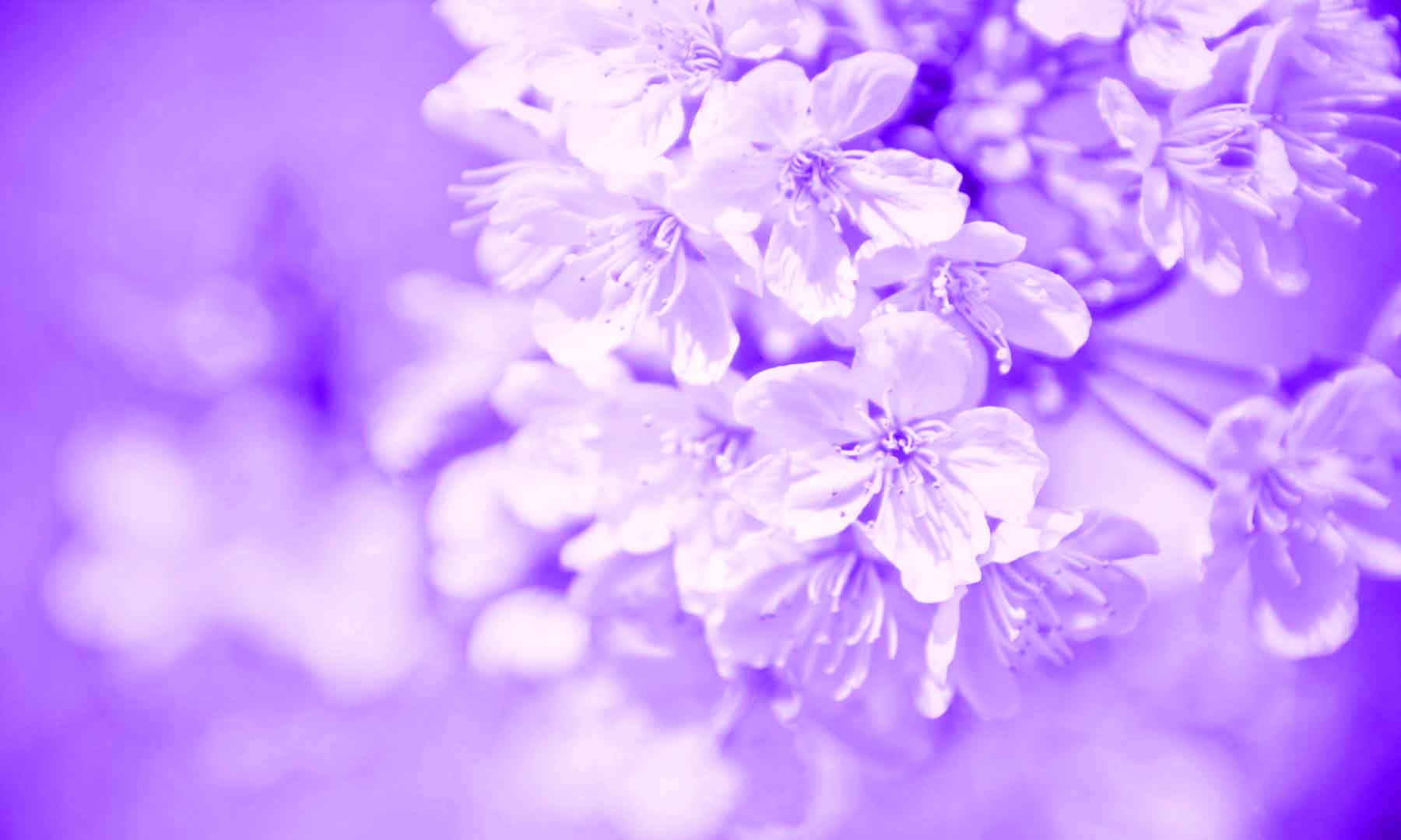 VIPcorel.com_WM-133 (300x180).jpg