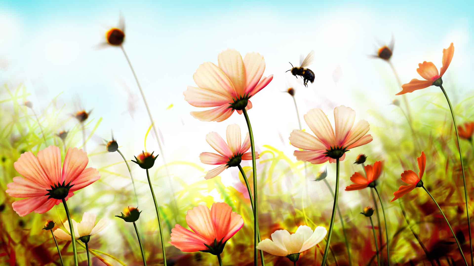 VIPcorel.com_WM-141.jpg