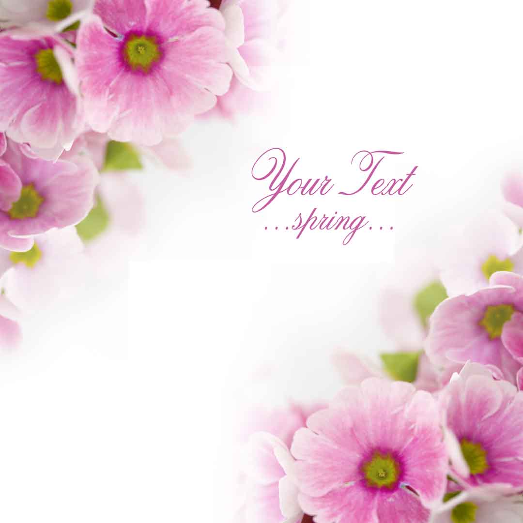 VIPcorel.com_WM-173 (200x200).jpg