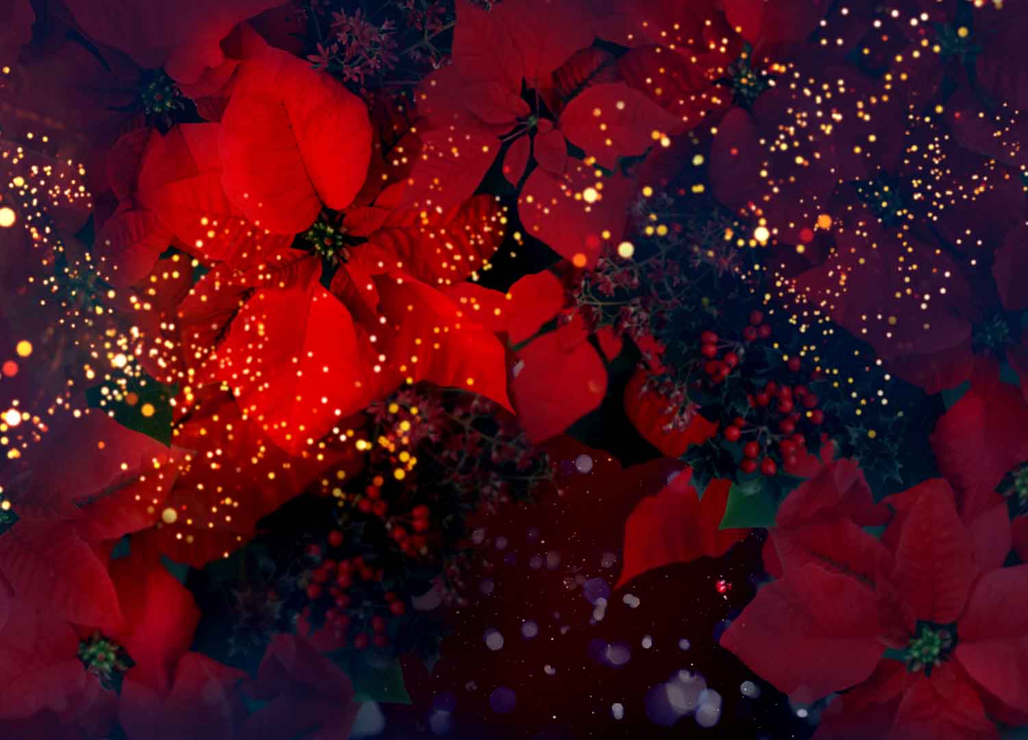 VIPcorel.com_WM-206 (250x180).jpg