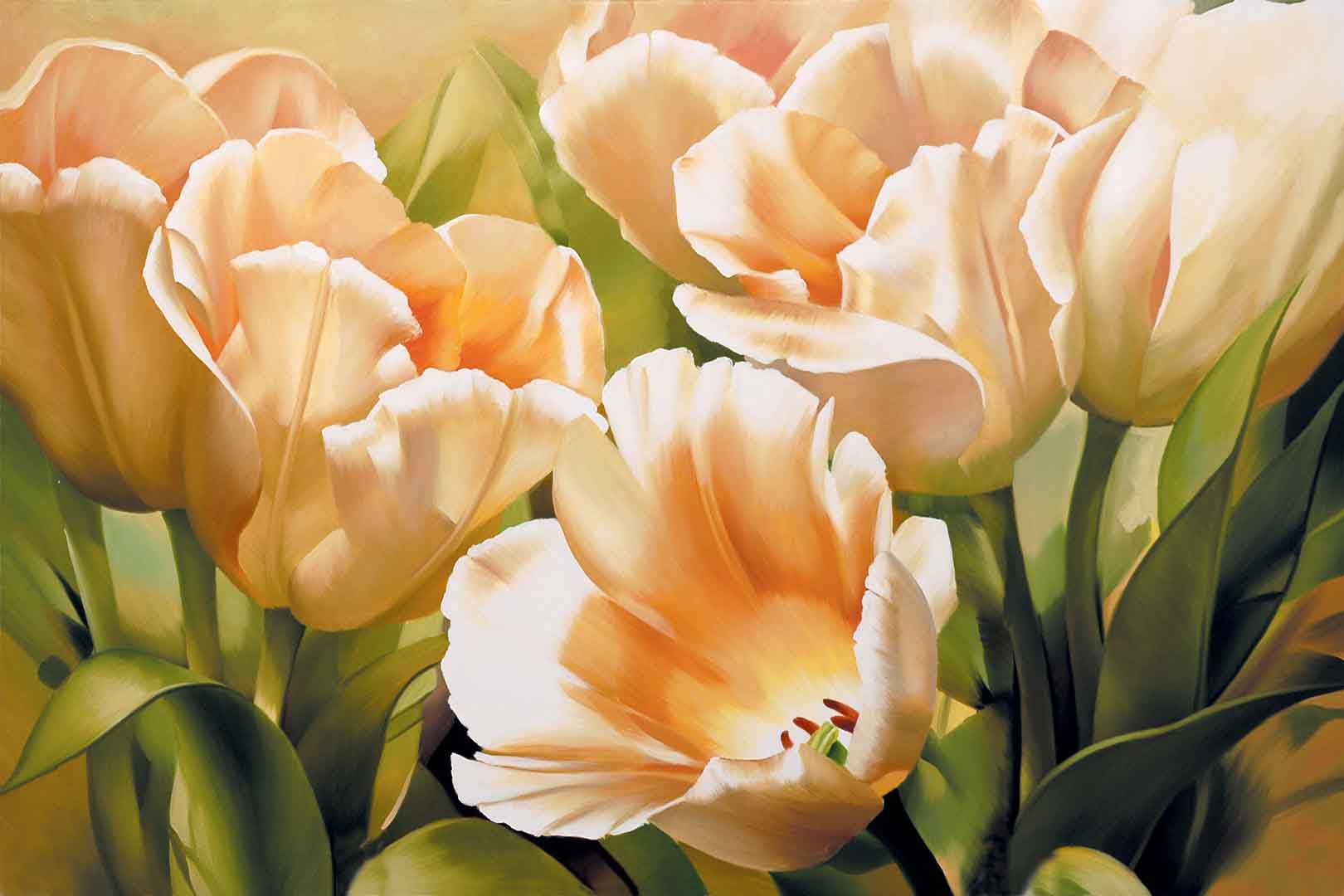 VIPcorel.com_WM-220 (300x200).jpg
