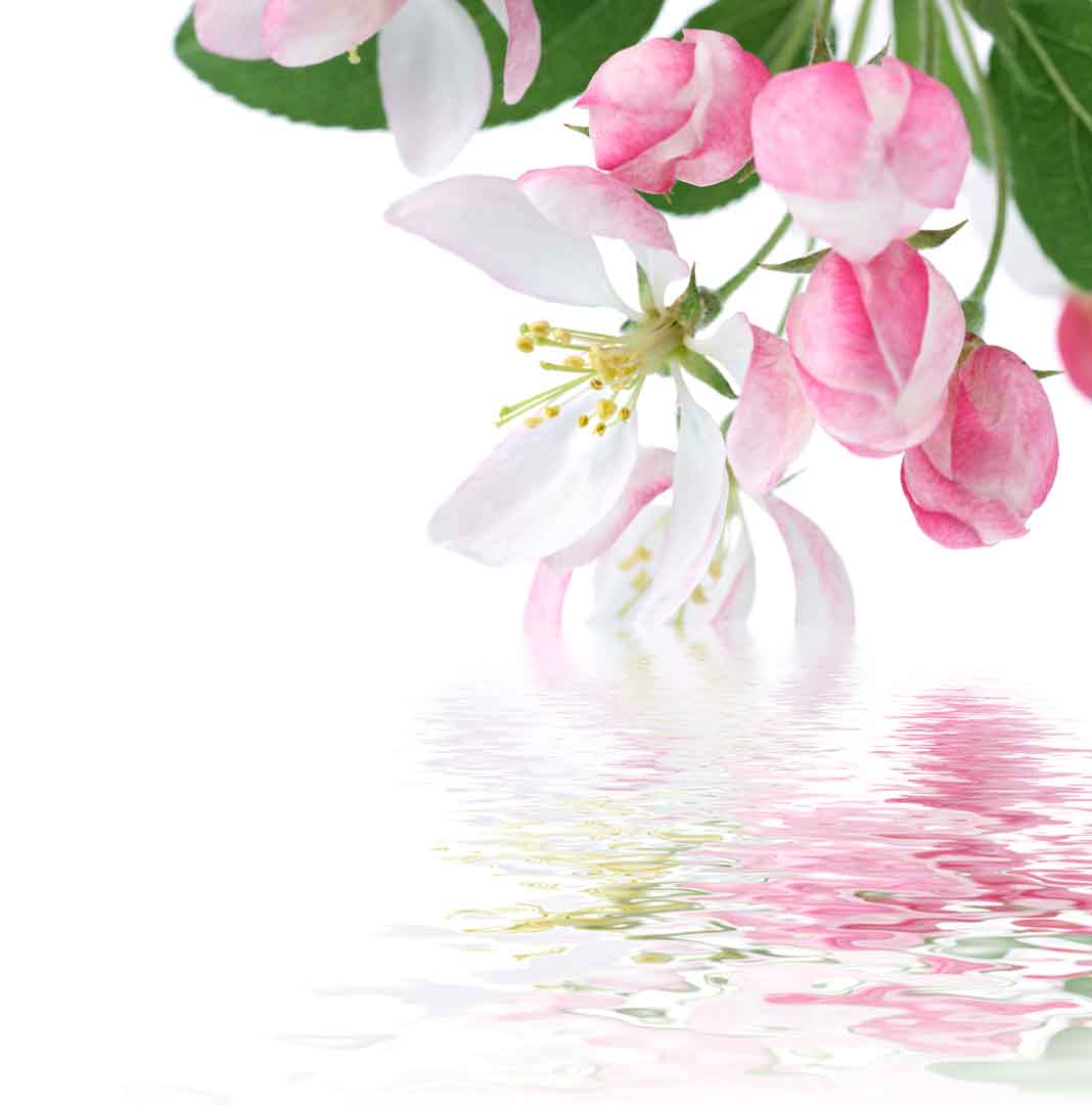VIPcorel.com_WM-242 (200x200).jpg