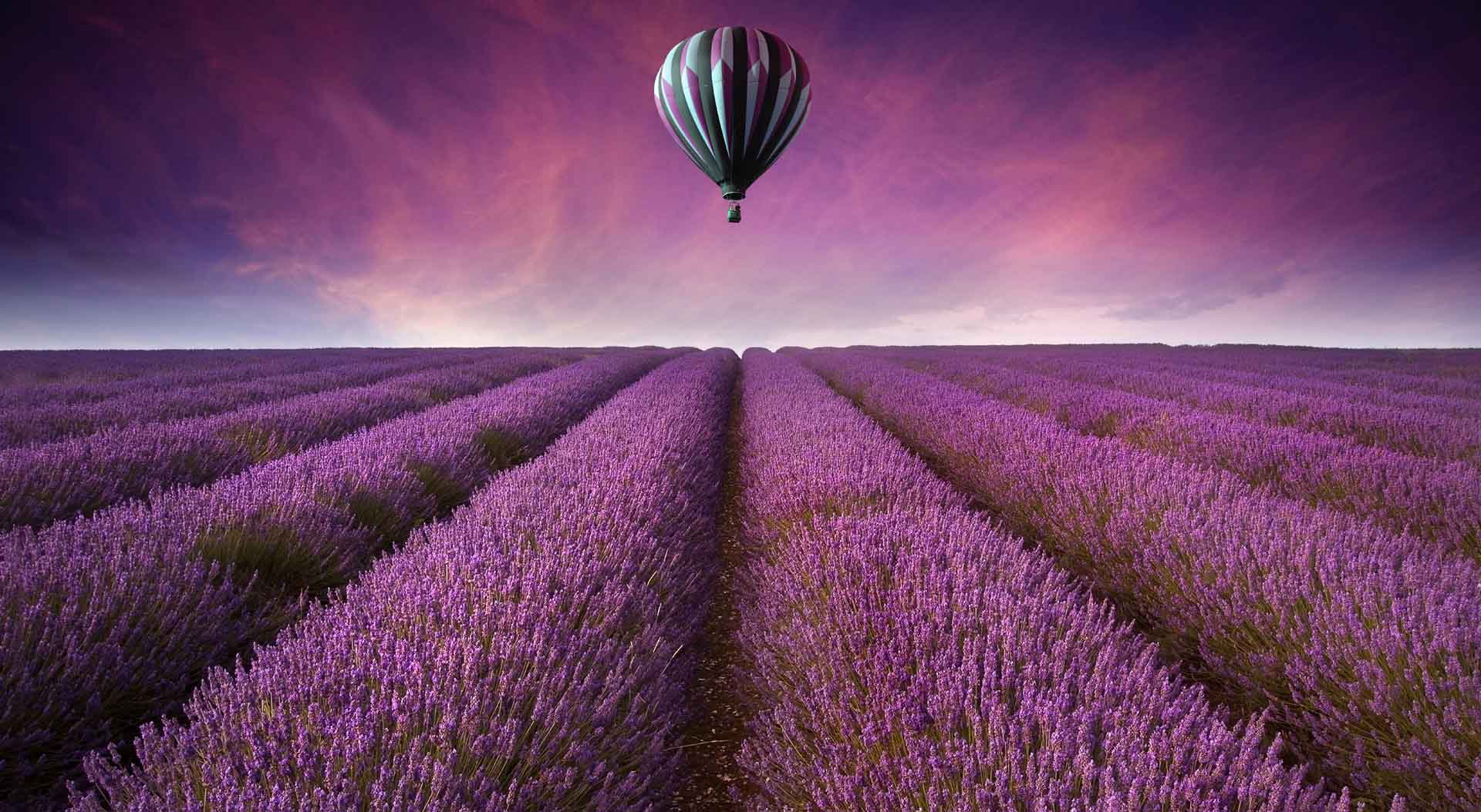 VIPorel.com_11145.jpg