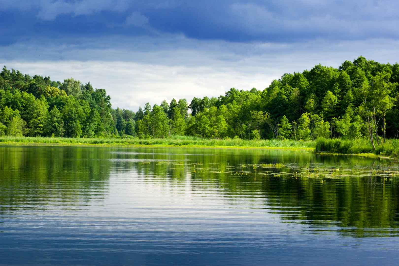 VIPorel.com_11164.jpg