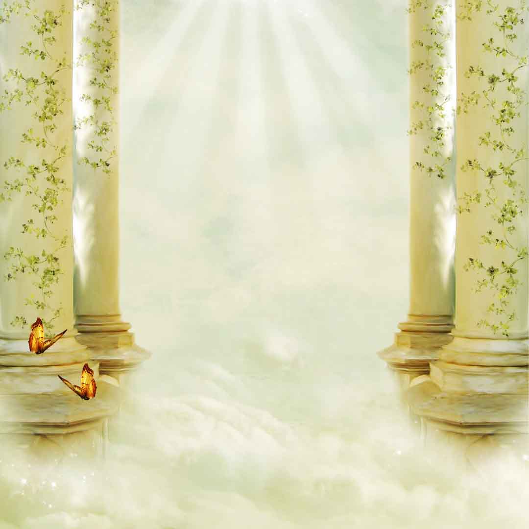 VIPorel.com_11225.jpg