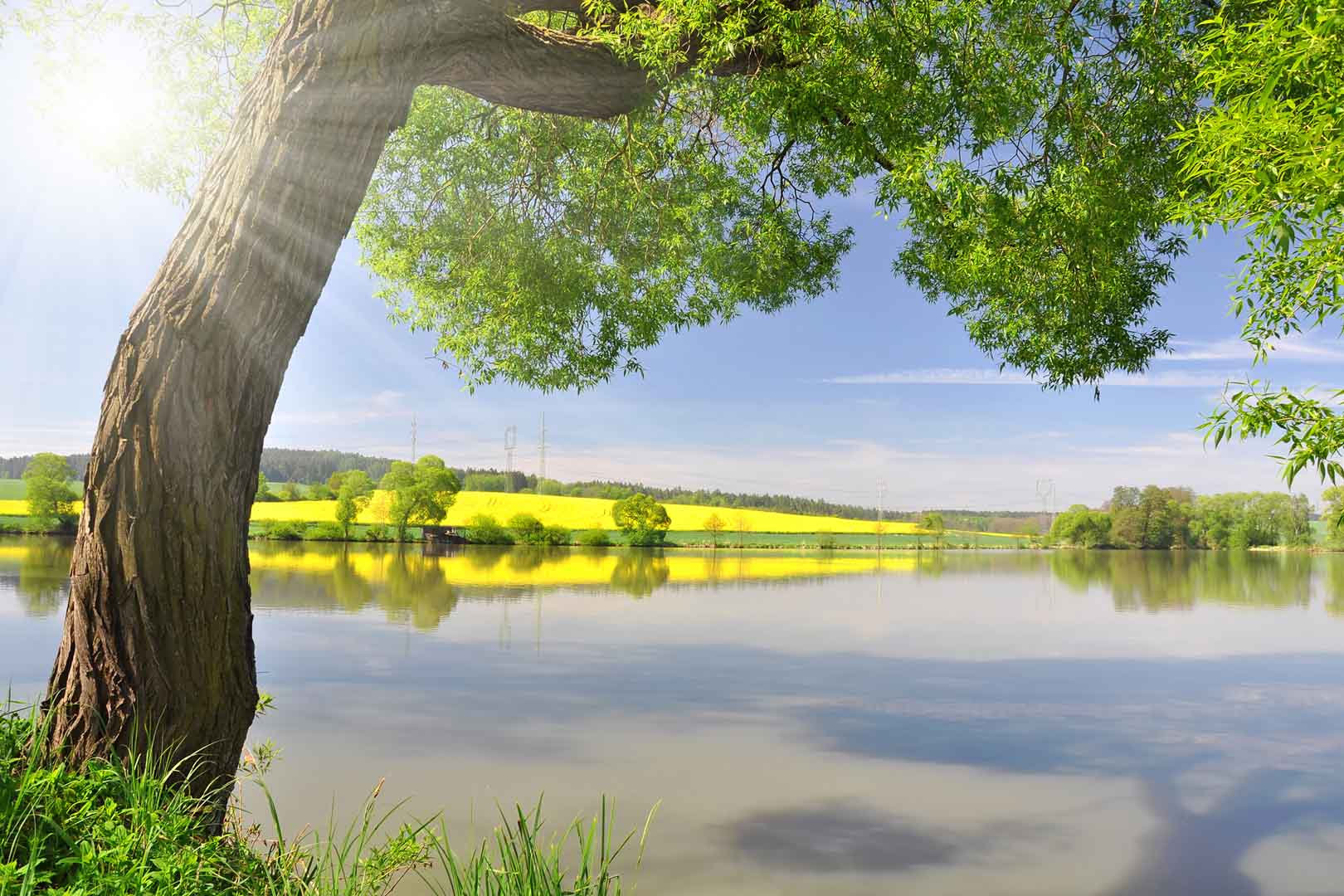 VIPorel.com_11227.jpg