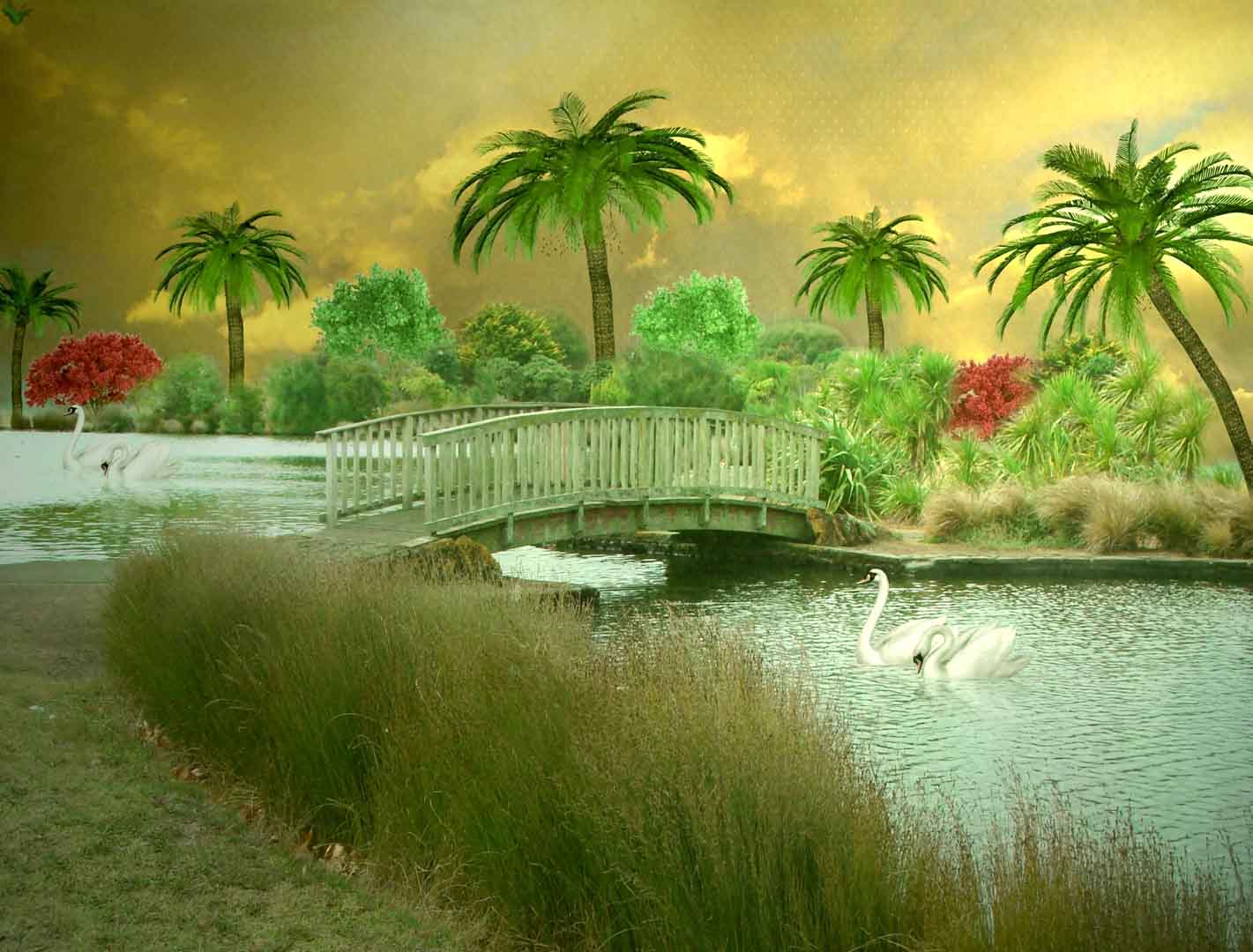 VIPorel.com_11273.jpg