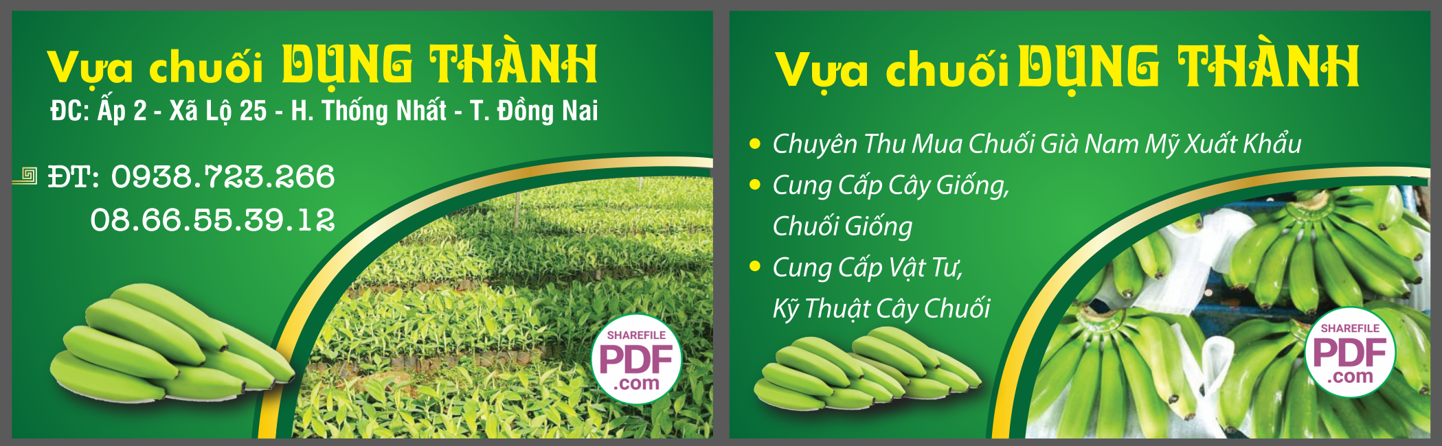 vua chuoi dung thanh.png