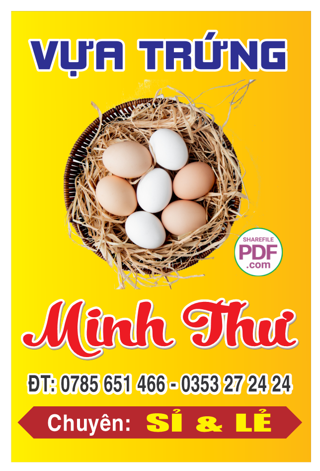 vua tung minh thu bien vay.png